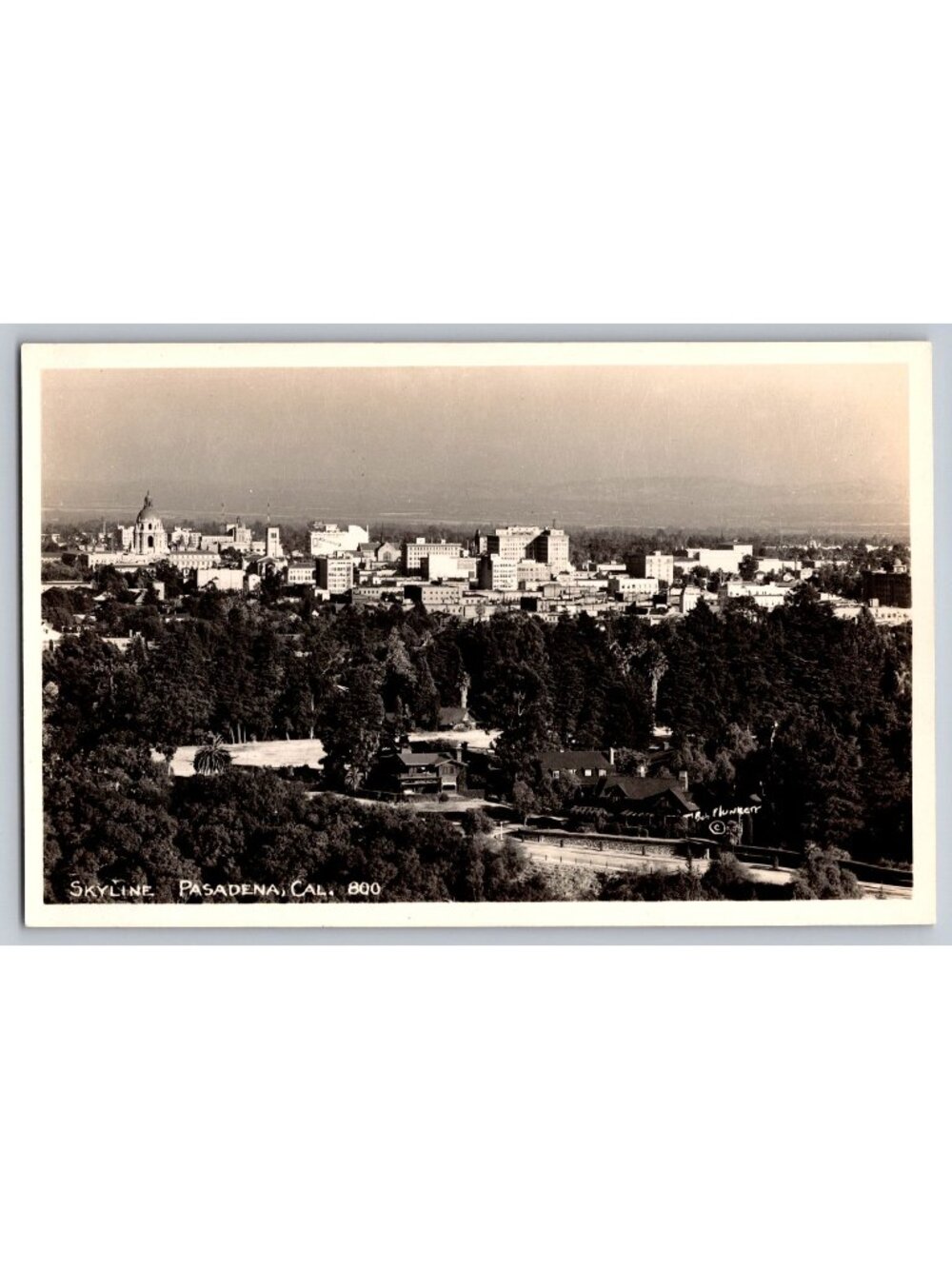 Skyline Pasadena Cal Real Photo Postcard RPPC City View Bob Plunkett 800 Vintage